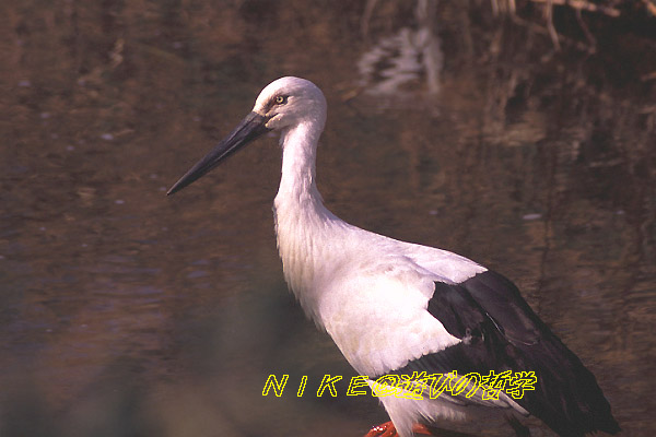 e0000968_21343853.jpg