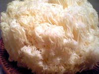 e0065175_0563420.jpg