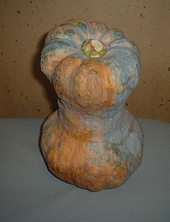 c0068891_2241474.jpg