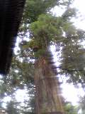 d0035397_1045309.jpg