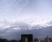 e0077498_0202442.jpg