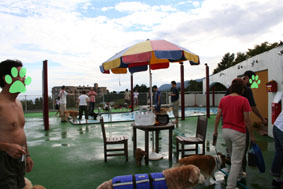 e0072606_19155570.jpg