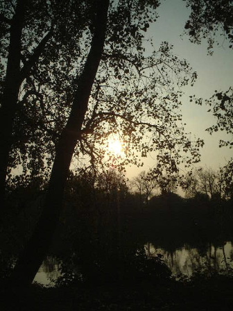 e0015618_756764.jpg