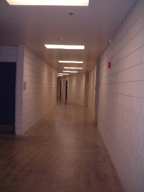 e0015618_8473612.jpg