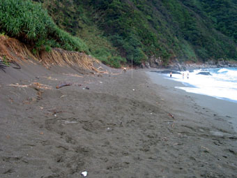 e0041337_10551232.jpg