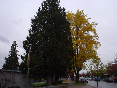 e0016845_1264445.jpg