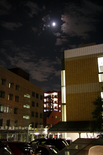 d0055151_22172099.jpg