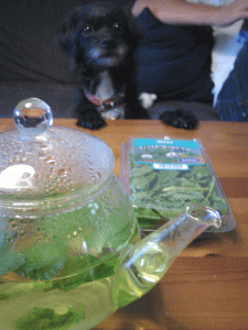 b0035453_12553888.gif