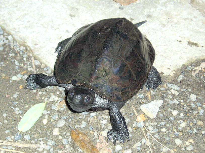 e0064158_014710.jpg