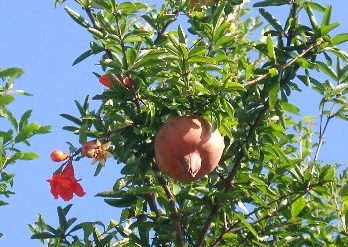 b0069169_10534340.jpg