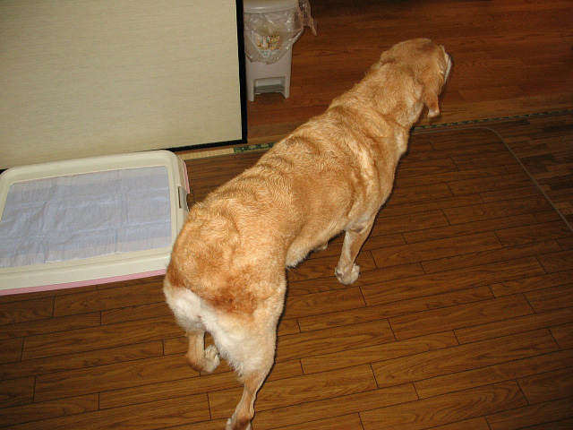 b0029777_21544939.jpg