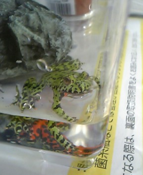 e0080894_23405622.jpg