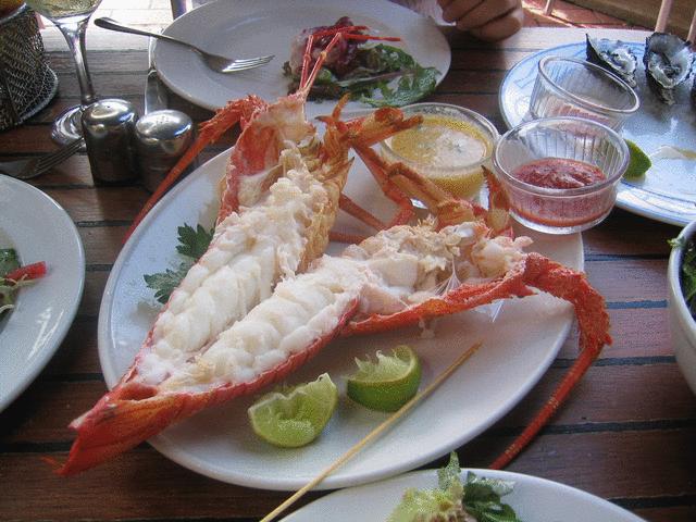 e0026795_158682.jpg
