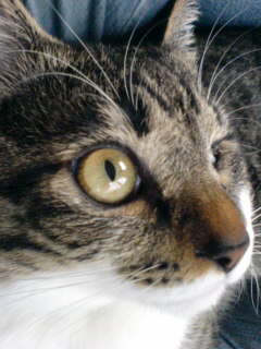 c0035001_14491360.jpg