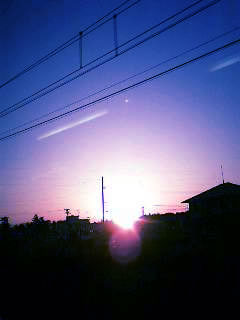 d0035104_2492318.jpg