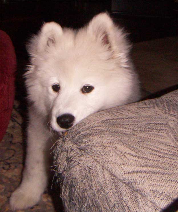 e0018604_13385.jpg