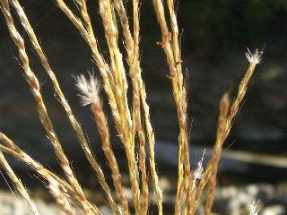 b0061107_10553490.jpg