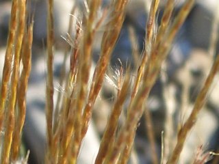 b0061107_10554540.jpg