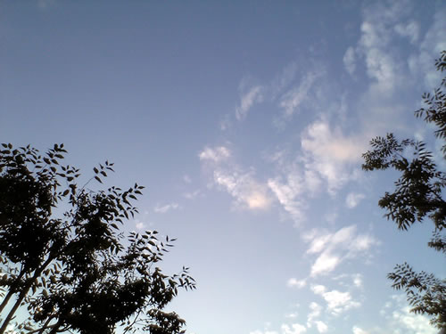 e0077312_19343042.jpg