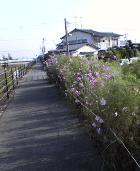 d0032019_167239.jpg
