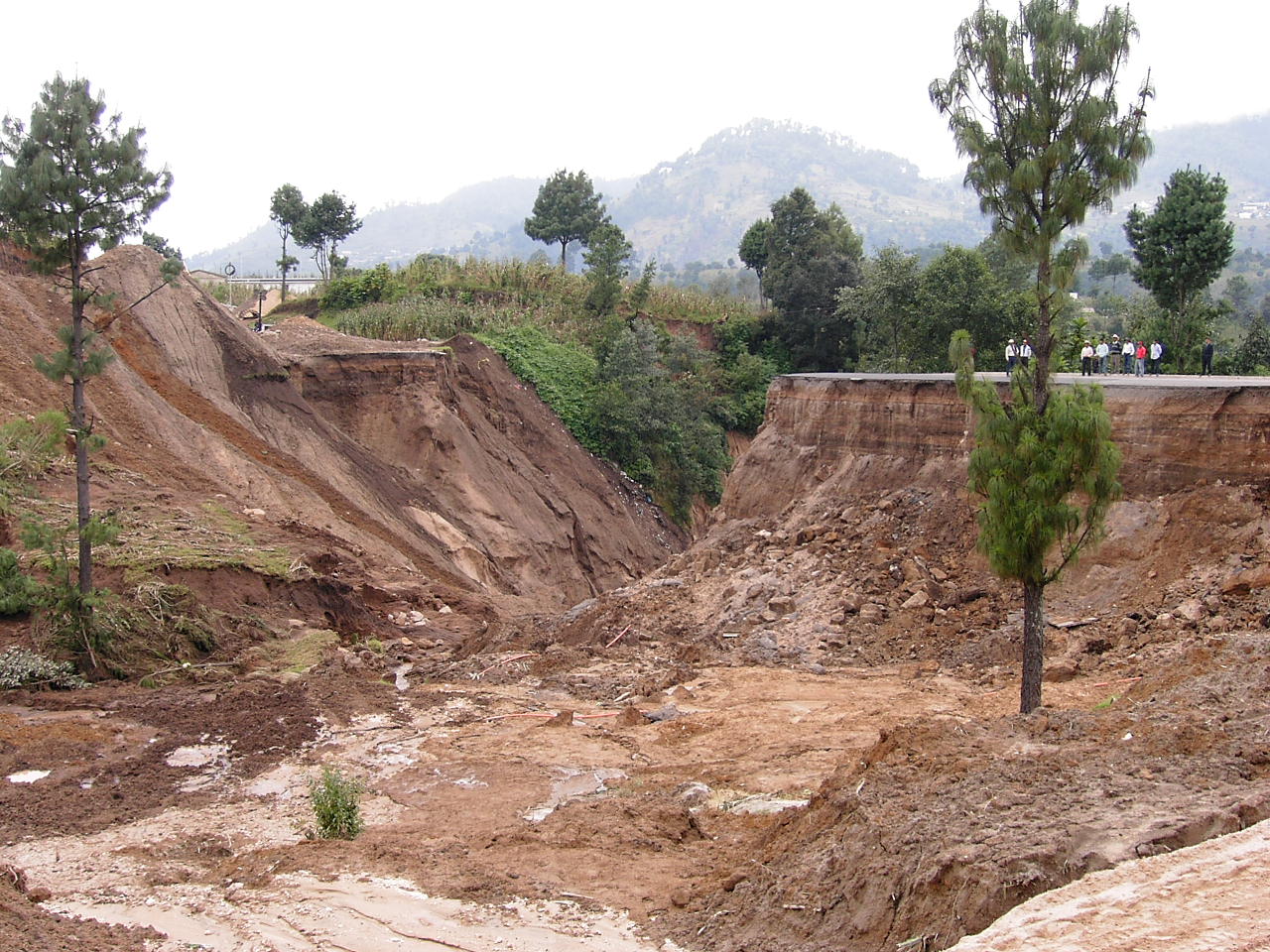 d0035721_9395150.jpg