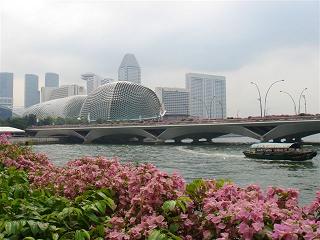 e0036628_8345485.jpg
