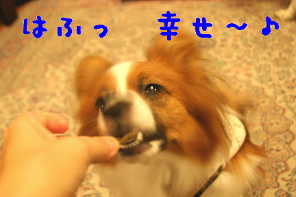 d0013149_2210989.jpg