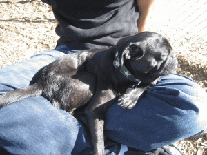 b0035453_1446239.gif