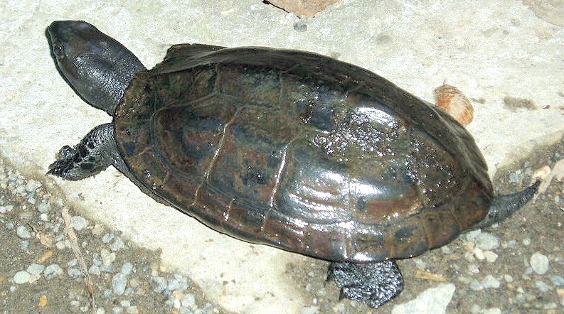 e0064158_0101389.jpg