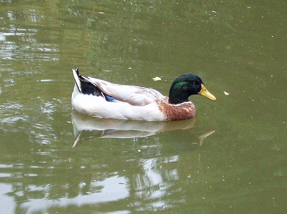 e0064158_0103828.jpg
