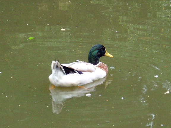 e0064158_0171935.jpg