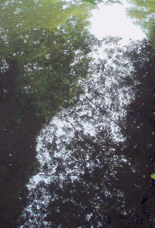 e0064158_0181819.jpg