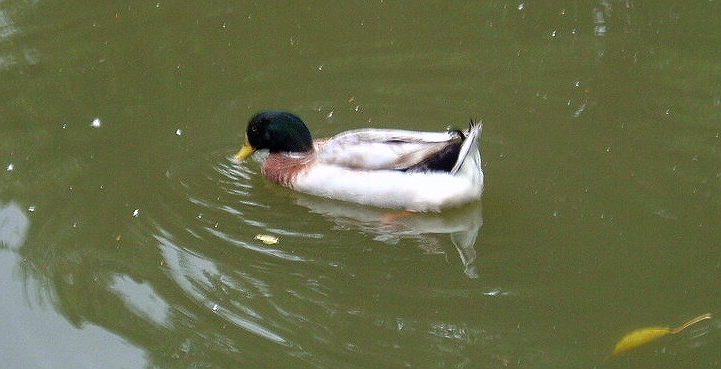e0064158_23561552.jpg