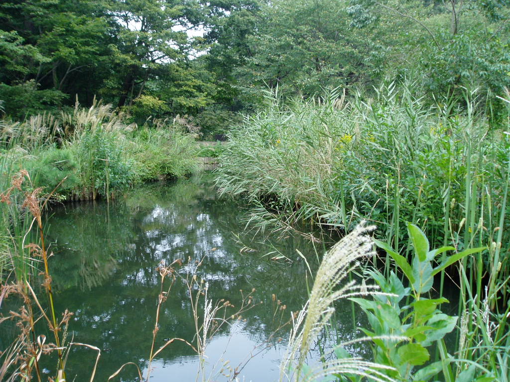 e0064158_23593475.jpg