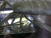 b0046664_152847.jpg