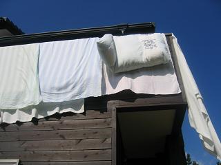 e0031568_11482014.jpg