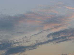 c0009287_17154693.jpg