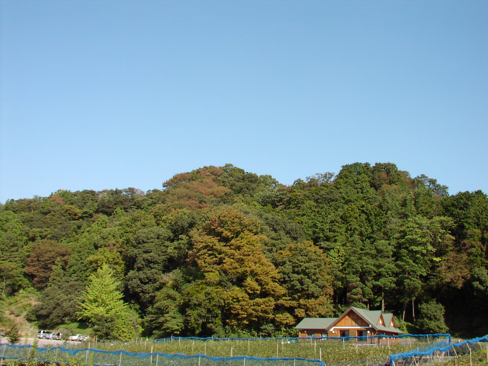 e0092194_15481773.jpg