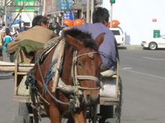 c0060603_23285391.jpg