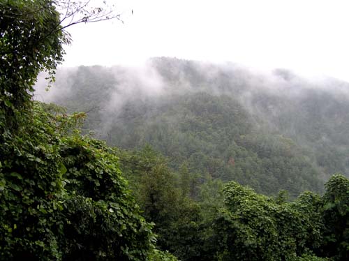 e0048413_1639385.jpg