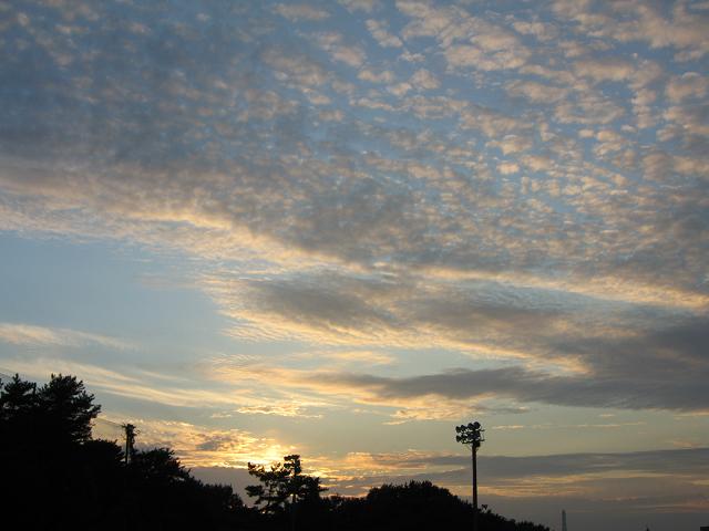 d0058317_0263080.jpg