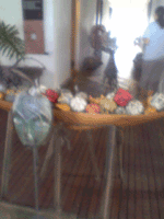 d0038319_1683087.gif