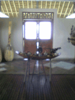 d0038319_1693091.gif