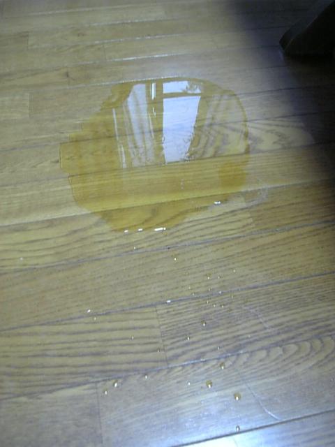 c0059823_16495647.jpg