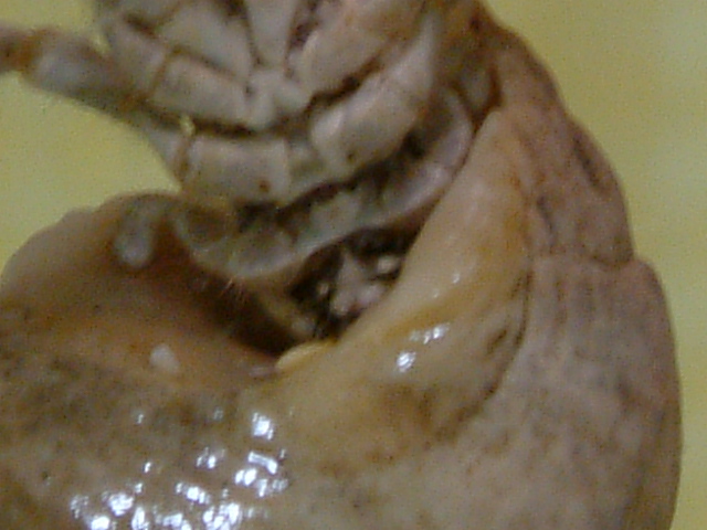 a0040725_1273156.jpg