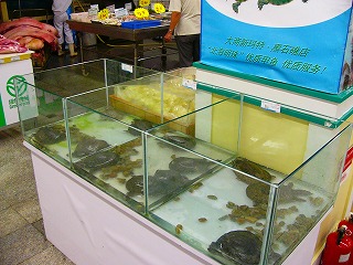 b0009029_1514482.jpg