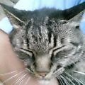 c0034029_21275829.jpg
