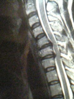 e0087443_1061099.jpg