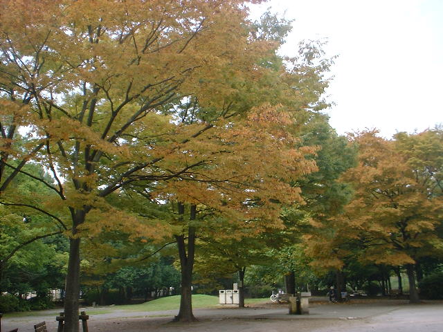 c0071545_2322556.jpg