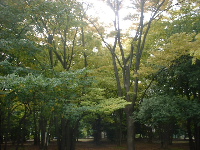 c0071545_2351015.jpg